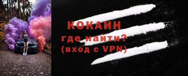 ПСИЛОЦИБИНОВЫЕ ГРИБЫ Абаза