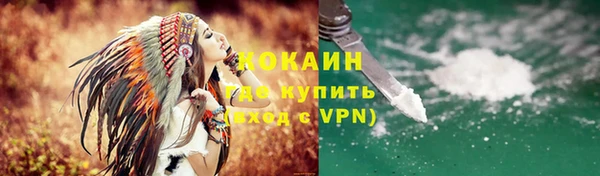 ПСИЛОЦИБИНОВЫЕ ГРИБЫ Абаза