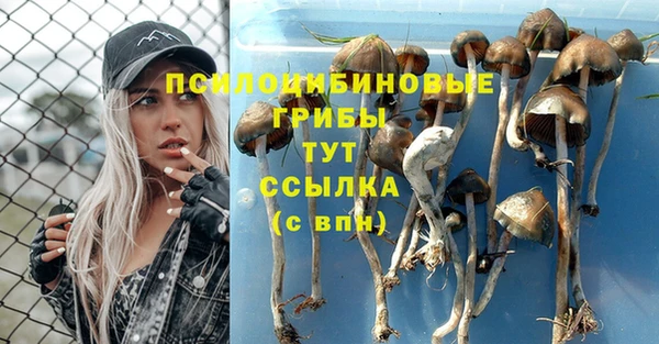 прущий лед Абдулино