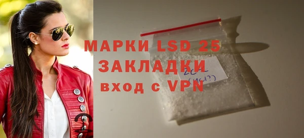 ПСИЛОЦИБИНОВЫЕ ГРИБЫ Абаза
