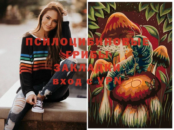ПСИЛОЦИБИНОВЫЕ ГРИБЫ Наволоки